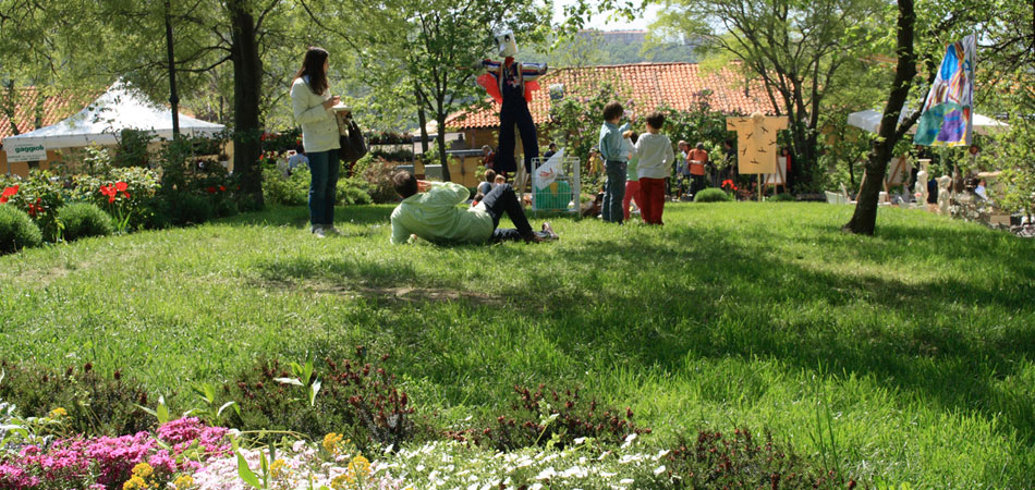 Il Posto Delle Fragole